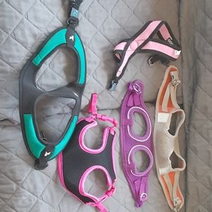 Puppy harnesses